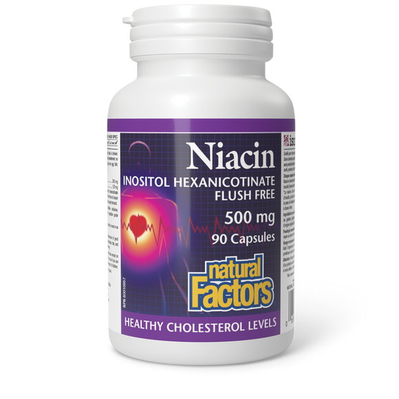 NIACIN NO FLUSH 500 MG 90 CAPS NATURAL FACTORS