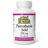 D PANTOTHENIC ACID 250 MG 90 CAPS NATURAL FACTORS