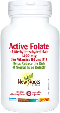 ACTIVE FOLIC ACID 1 MG 60 CAPS NEW ROOTS