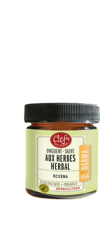 SALVE HERBAL ECZEMA 15 ML CLEF DES CHAMPS