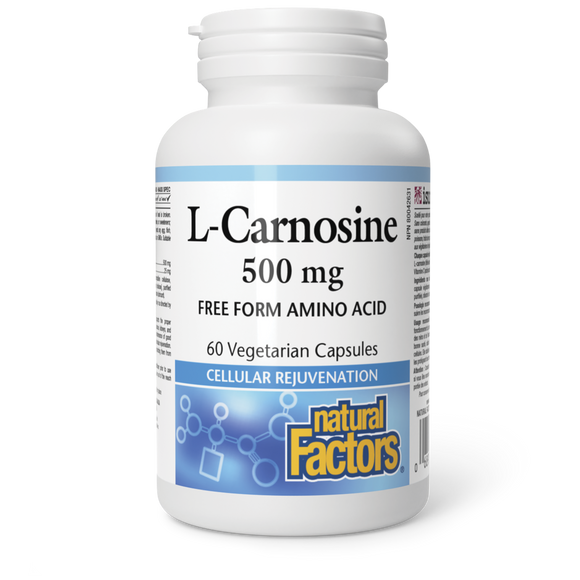L-CARNOSINE FREE FORM 500 MG 60 VCAPS NATURAL FACTORS
