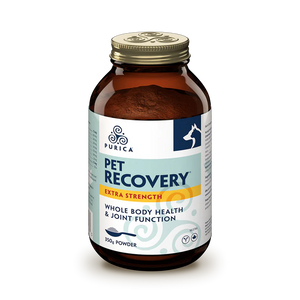 PET RECOVERY EXTRA STRENGTH 350 G POWDER PURICA