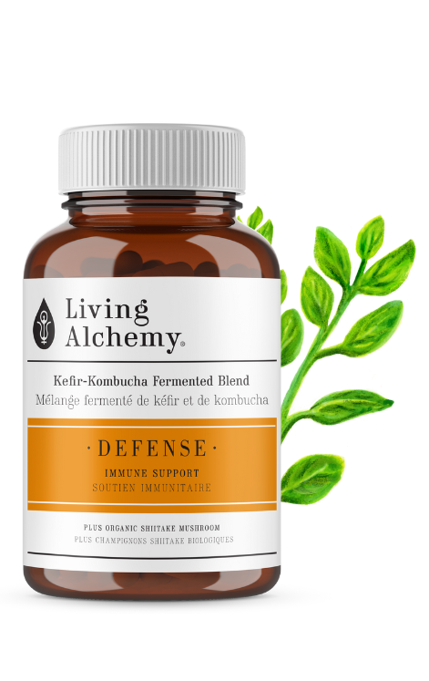 DEFENSE DAILY IMMUNE SUPPORT 60 CAPSULES LIVING ALCHEMY
